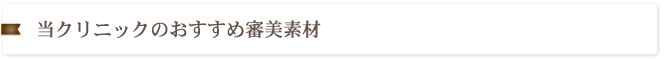 当クリニックのおすすめ審美素材